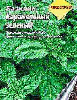 the best varieties of basil