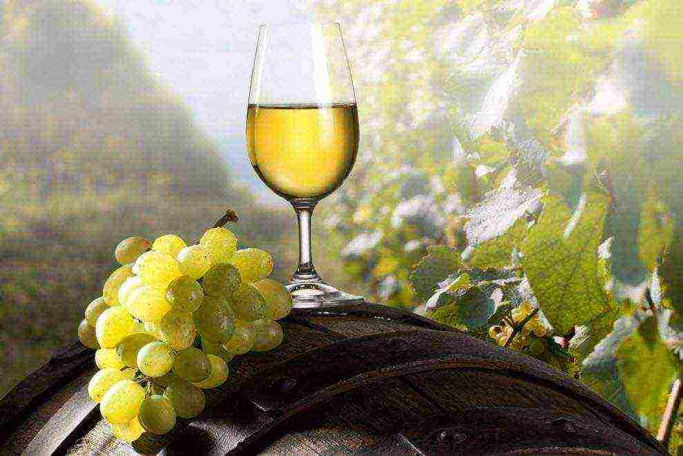 the best white wines