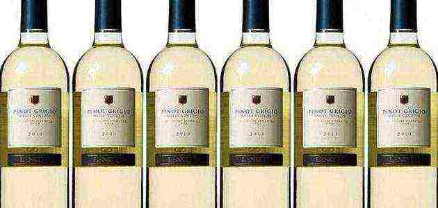 the best white wines