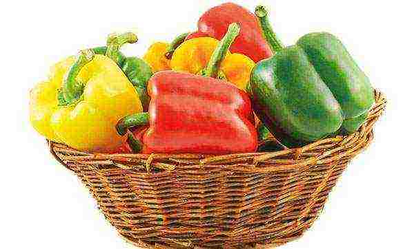 the best varieties of bell peppers