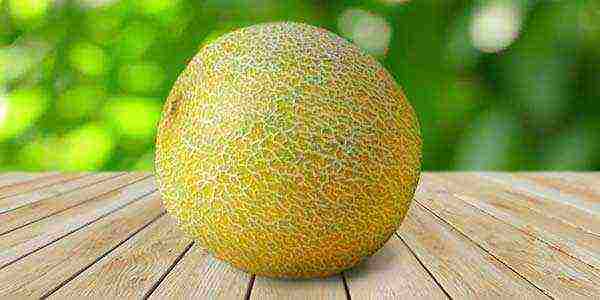 the best varieties of melons