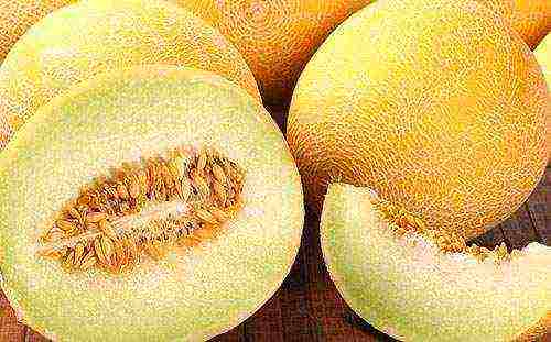 the best varieties of melons