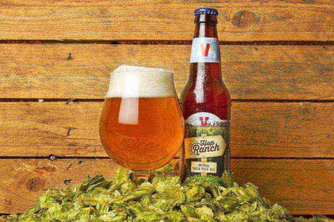 best ipa varieties