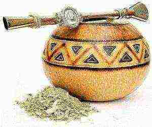 the best varieties of mate