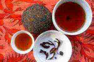 the best varieties of pu-erh