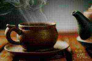 the best varieties of pu-erh