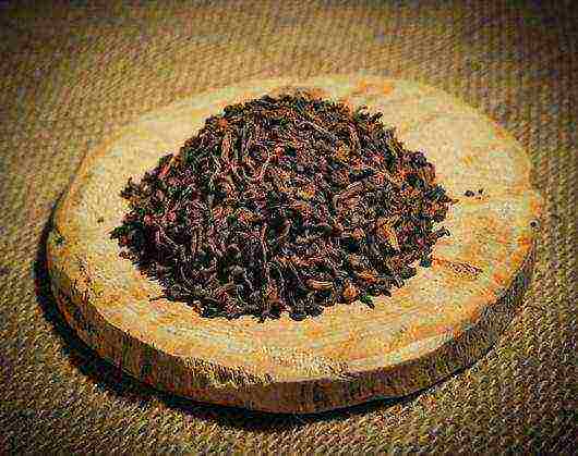 the best varieties of pu-erh