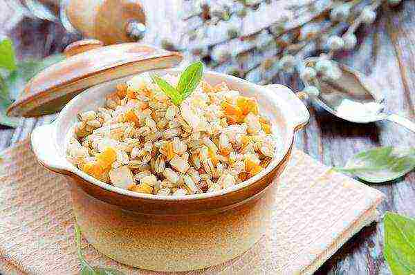 najbolje sorte haringa