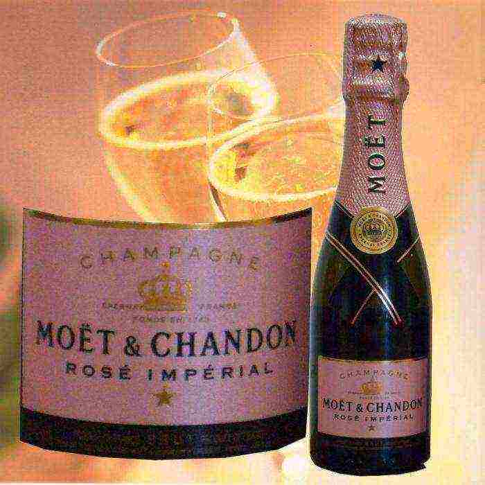 ang pinakamahusay na pagkakaiba-iba ng champagne