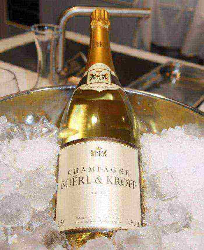 the best varieties of champagne