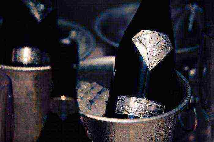 the best varieties of champagne