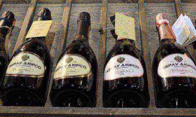 the best varieties of champagne