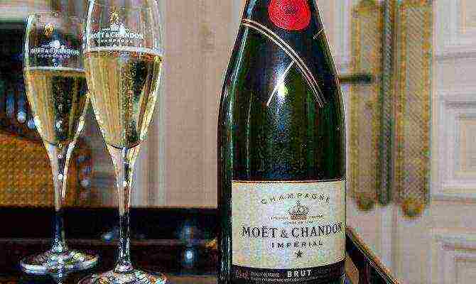 the best varieties of champagne