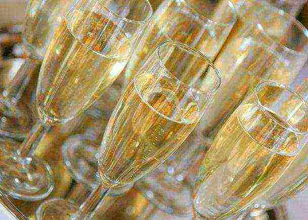 the best varieties of champagne