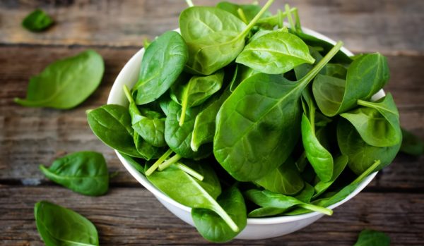 ang pinakamahusay na mga varieties ng spinach