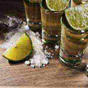 the best tequila varieties