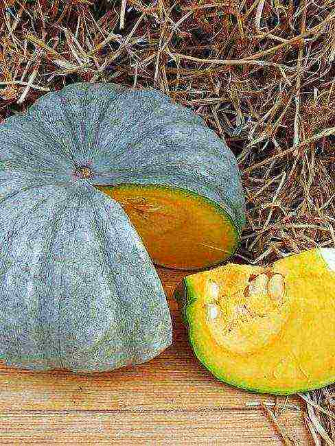 the best pumpkin varieties