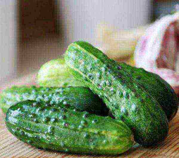 the best pickling varieties of cucumbers