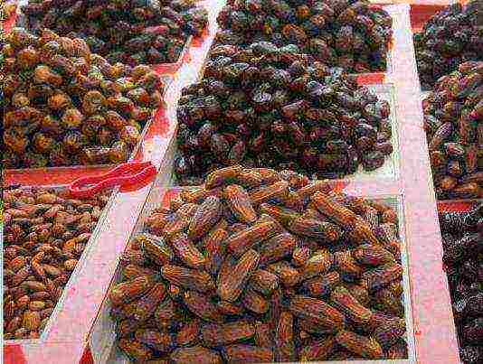 best grade of dates