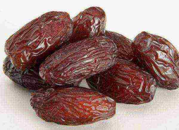 best grade of dates