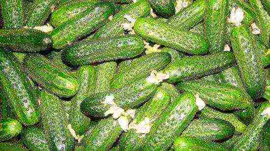 ang pinakamahusay na pagkakaiba-iba ng gherkins