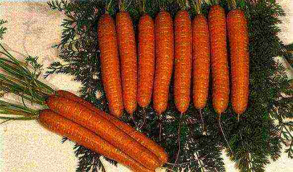 good grade carrots