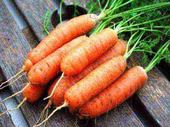 good grade carrots