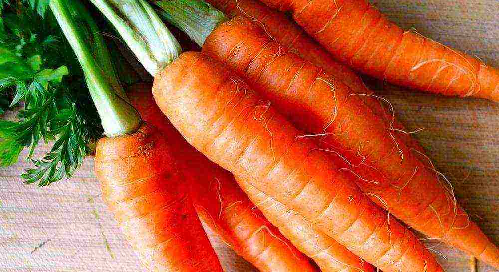 good grade carrots