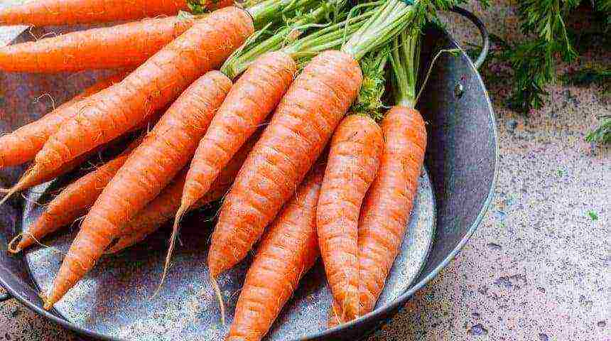 magandang grade carrots