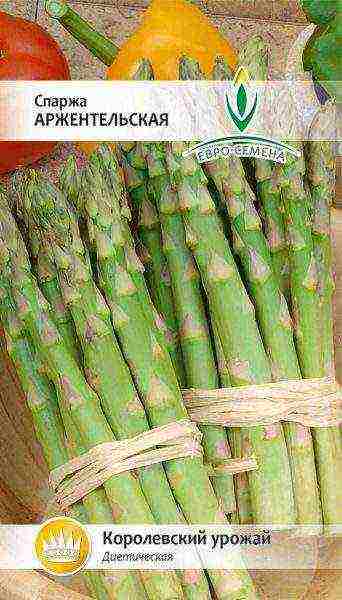 is it possible to grow asparagus at home