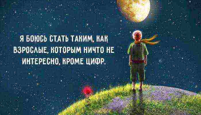 on your planet said the little prince people grow