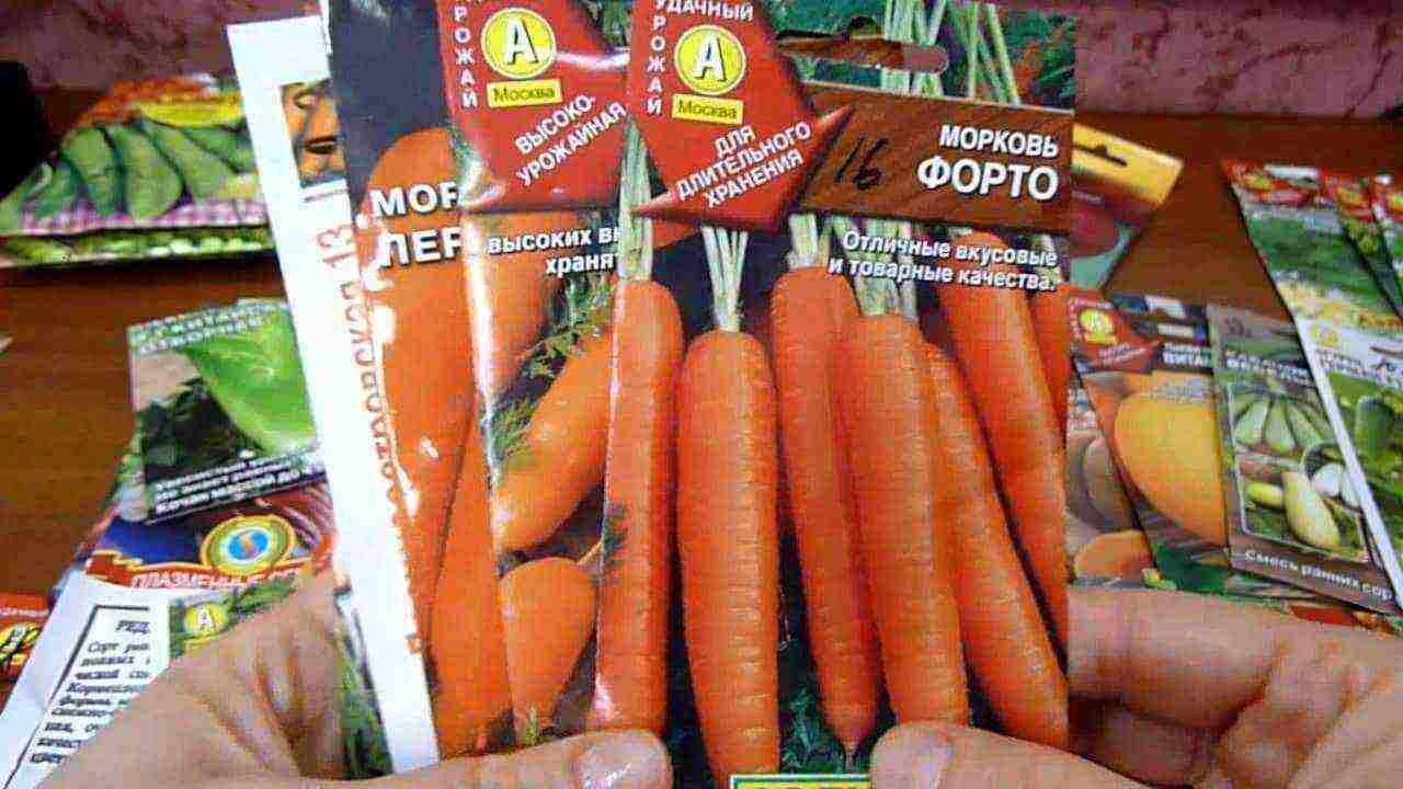 the best varieties of carrots