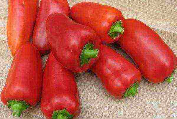 best peppers