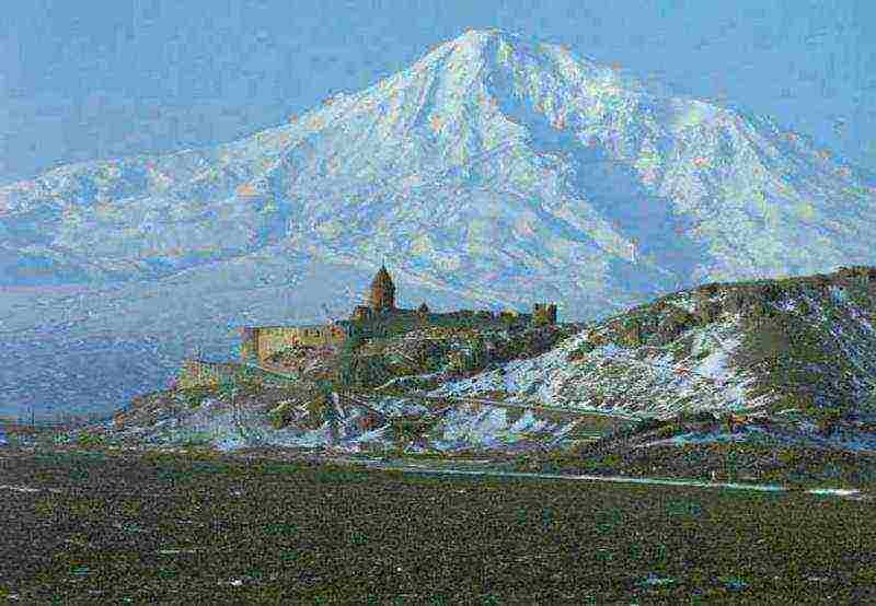 the republic of the Caucasus where tea is grown