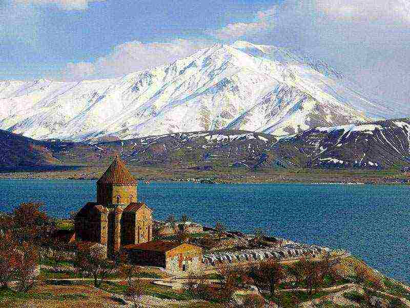 the republic of the Caucasus where tea is grown