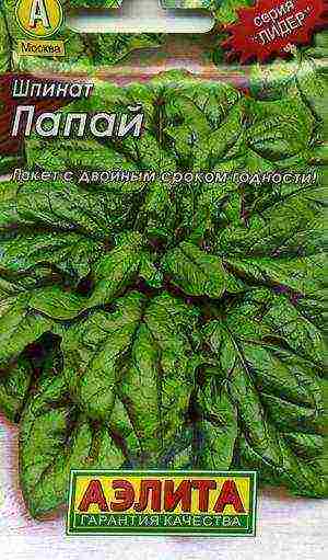 spinach best varieties