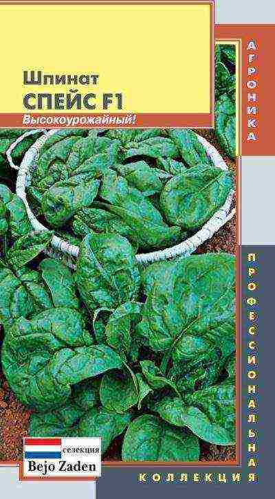 spinach best varieties