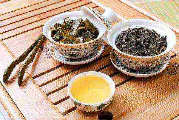 oolong best varieties