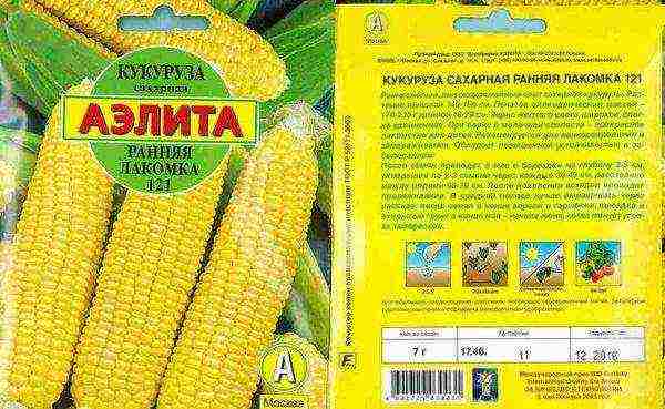 what varieties of corn are grown in the Krasnodar Territory