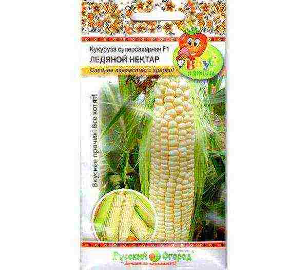 what varieties of corn are grown in the Krasnodar Territory