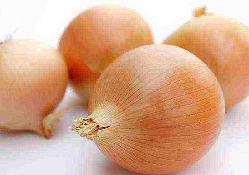 the best varieties of red onions