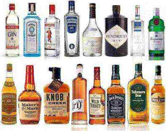 the best varieties of Russian vodka