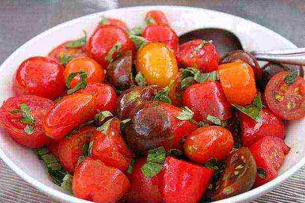 the best varieties of salad tomatoes