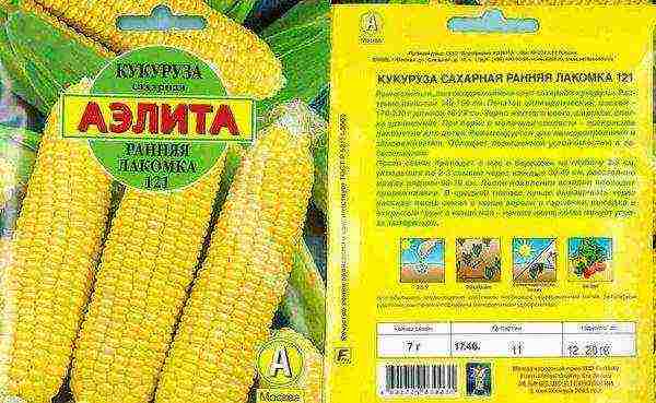 the best grade of sugar corn