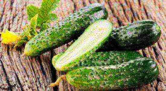 small lumpy cucumbers the best varieties