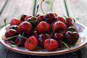 which varieties of cherries are better