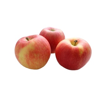 the best summer varieties of apple tree