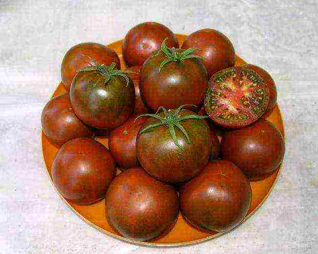 the best Siberian varieties of tomatoes