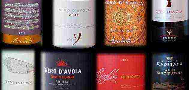 the best varieties of red wine