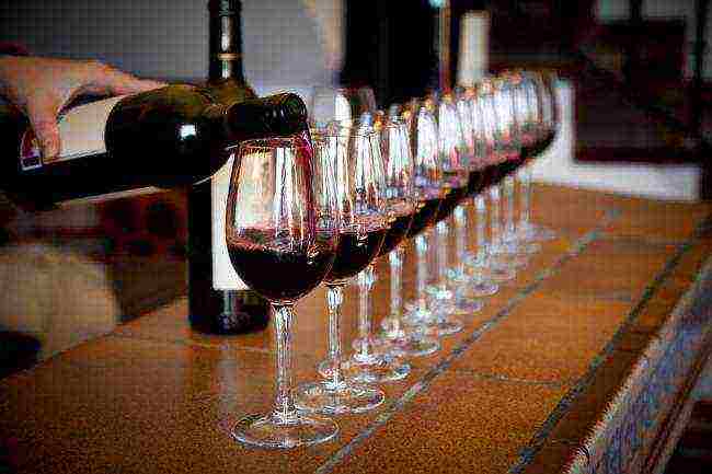the best varieties of red wine